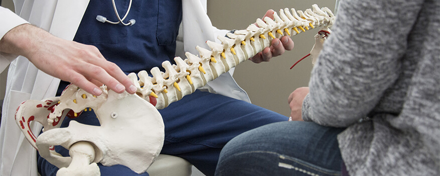 Chiropractic Care Vienna