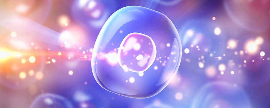 Regenerative Medicine Vienna